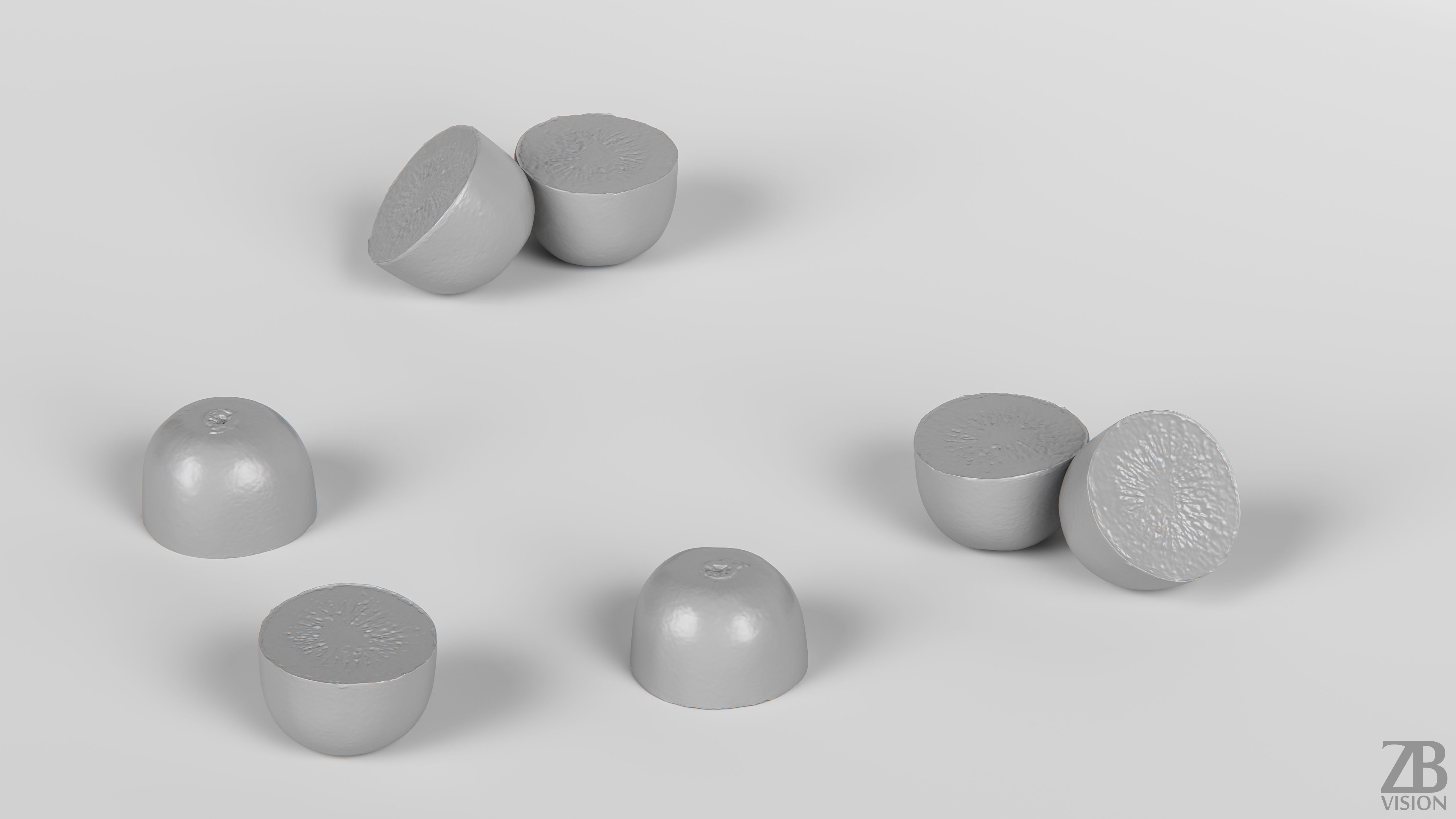 Kiwi  3D model_3