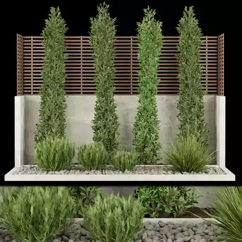 Collection plant vol 157 3D model