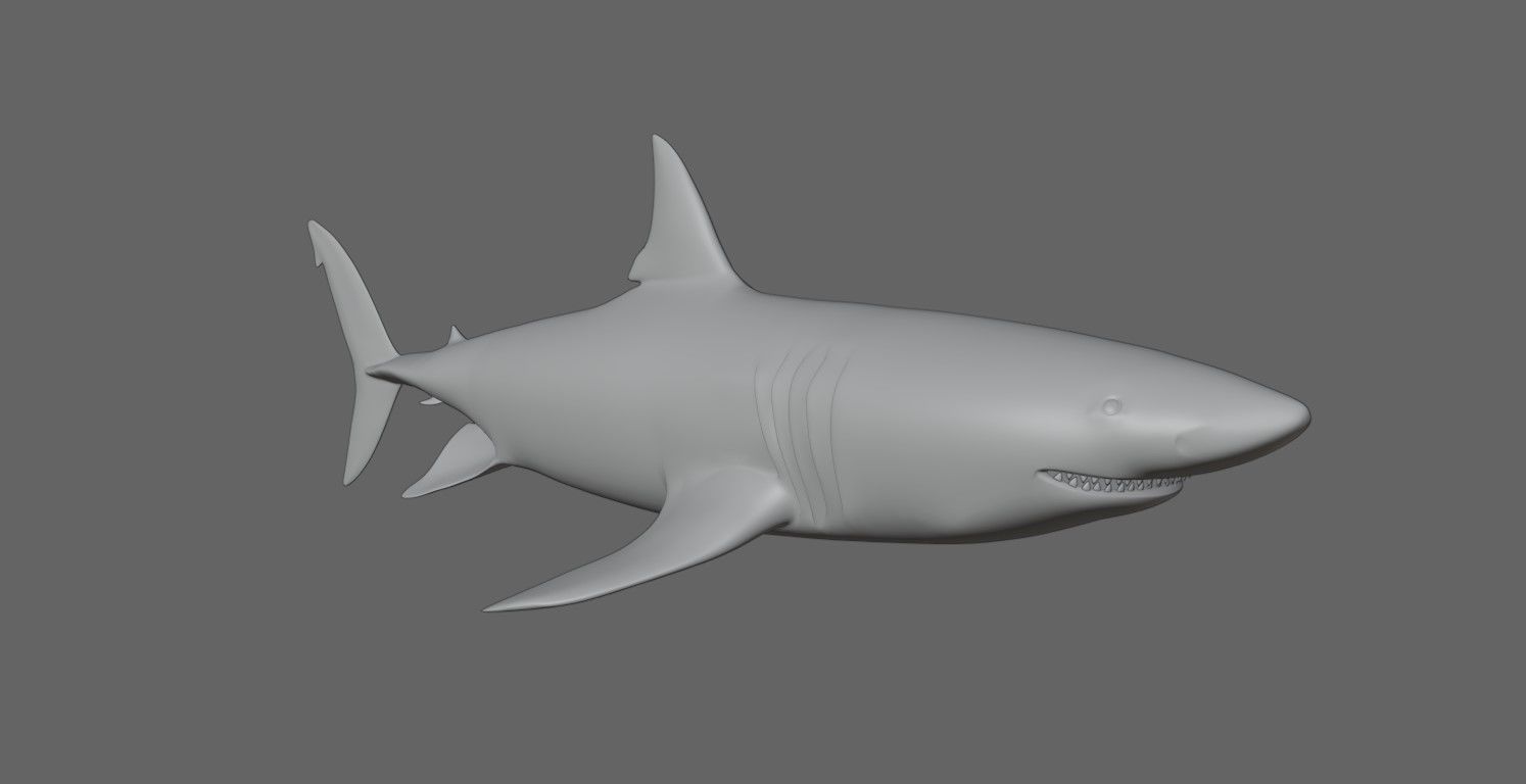Shark - Tubarao Low-poly 3D model_19