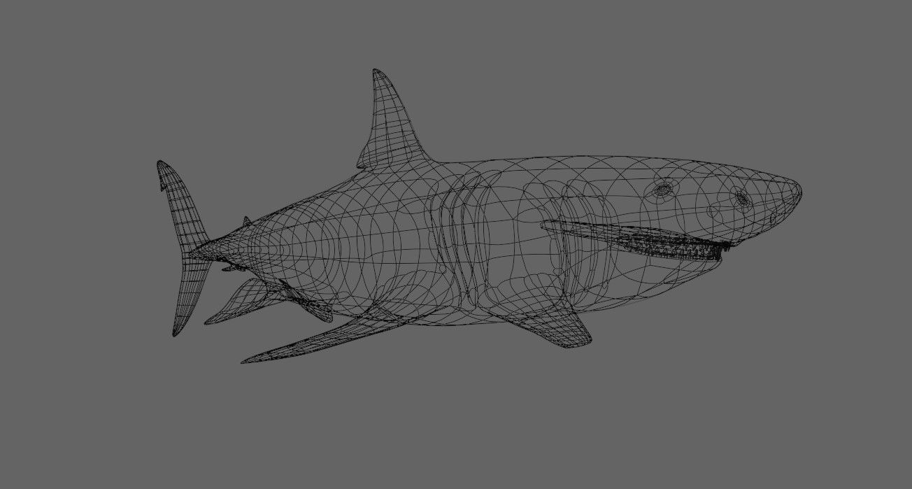 Shark - Tubarao Low-poly 3D model_24