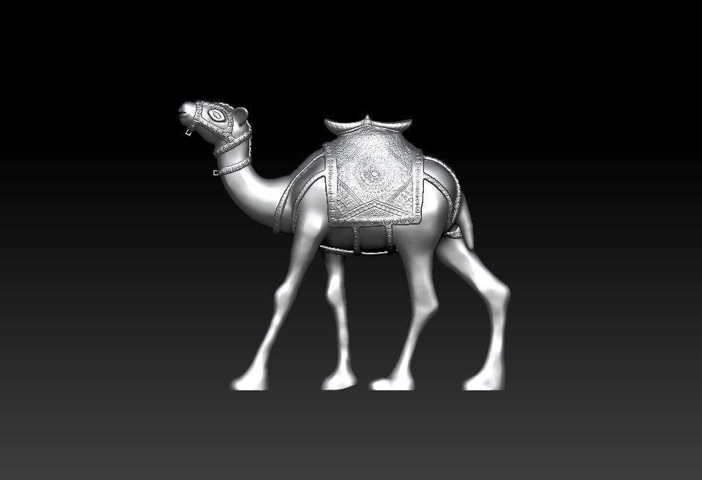 Camel  Ready For 3D Print 3D print model_7