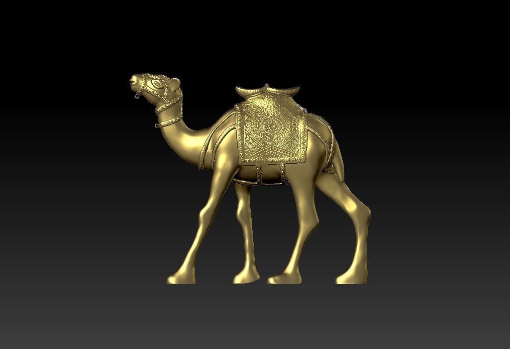 Camel  Ready For 3D Print 3D print model_3