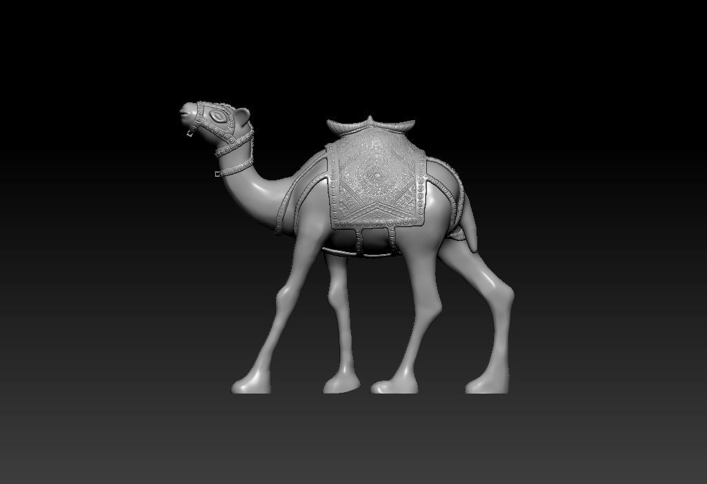 Camel  Ready For 3D Print 3D print model_9