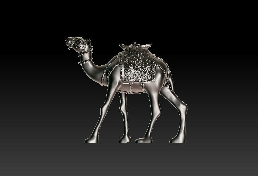 Camel  Ready For 3D Print 3D print model_5