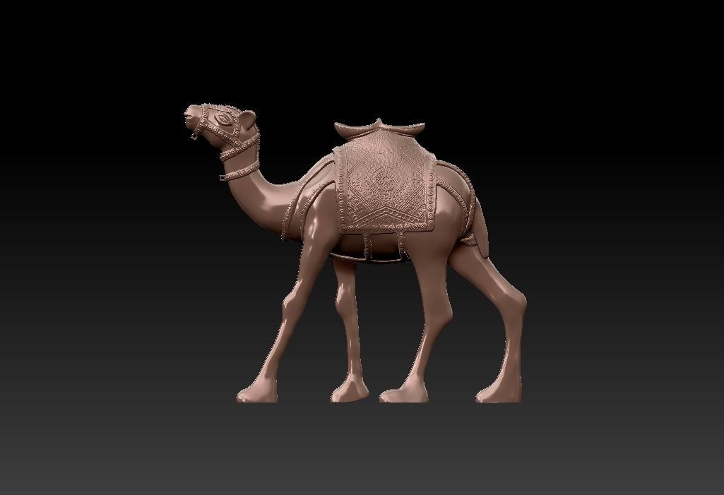 Camel  Ready For 3D Print 3D print model_6
