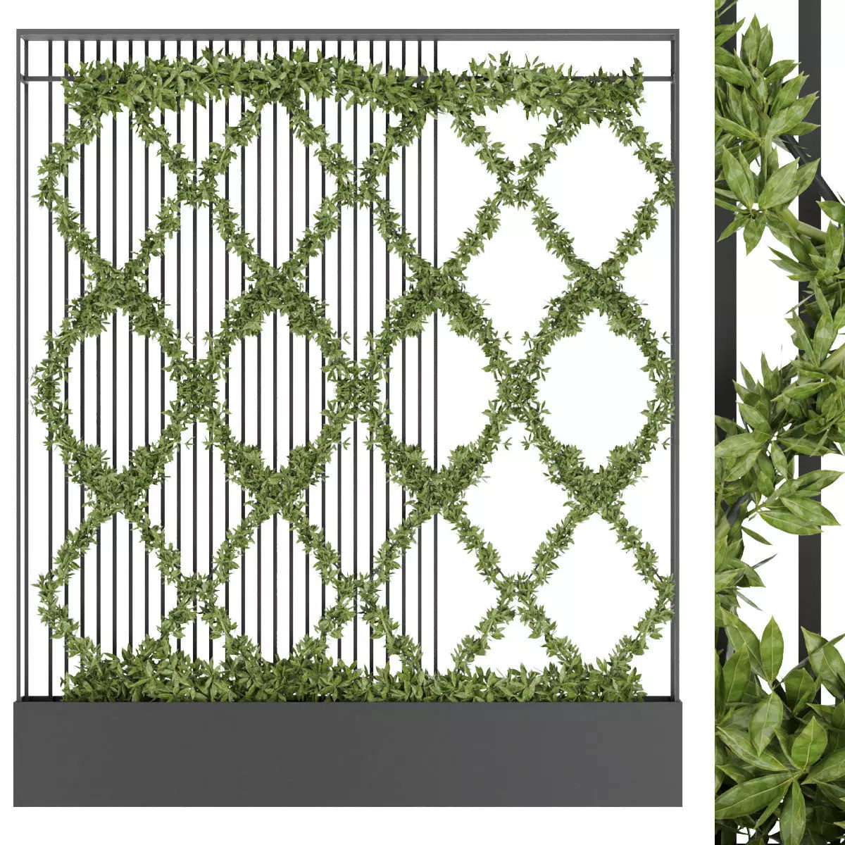 Collection plant vol 158 3D model_0