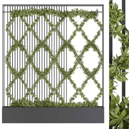 Collection plant vol 158 3D model