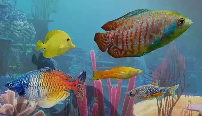 3D Fish model-Set of 5-Materials included Low-poly 3D model