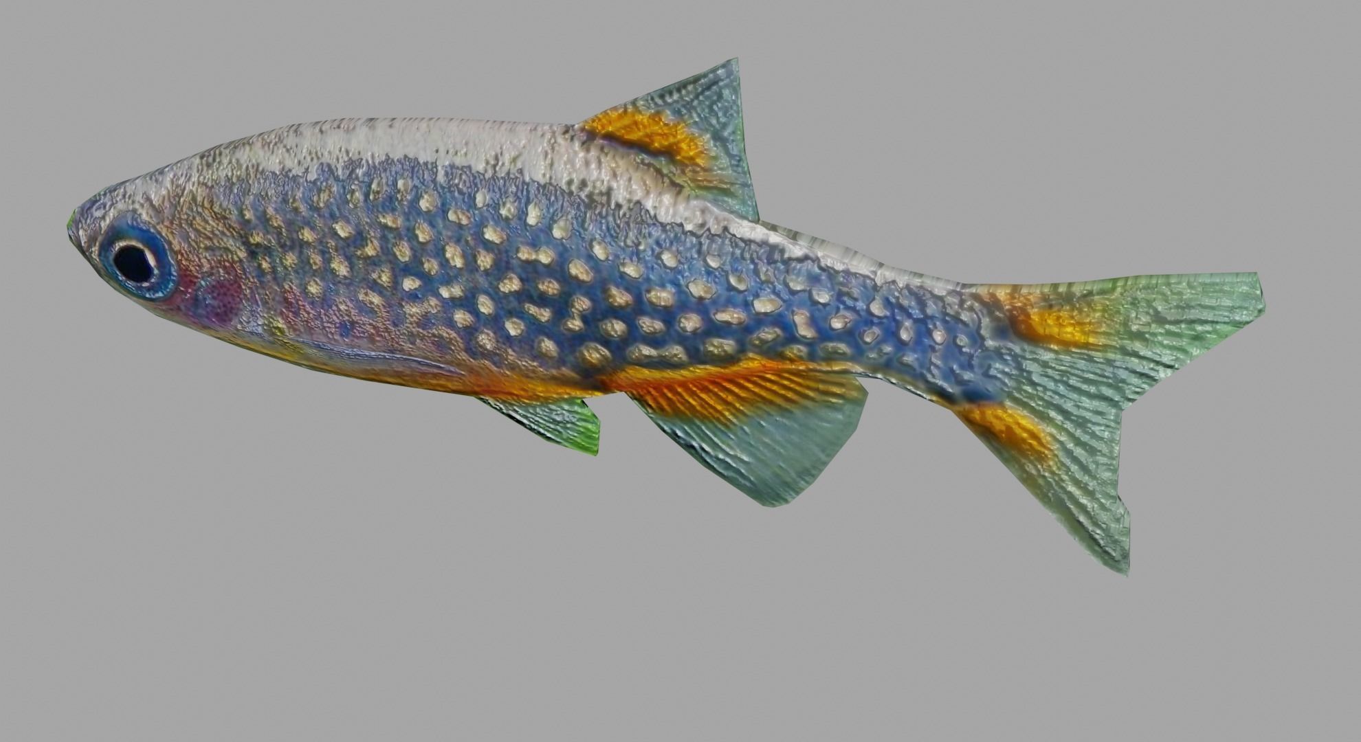 3D Fish model-Set of 5-Materials included Low-poly 3D model_12