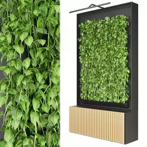 Collection plant vol 159