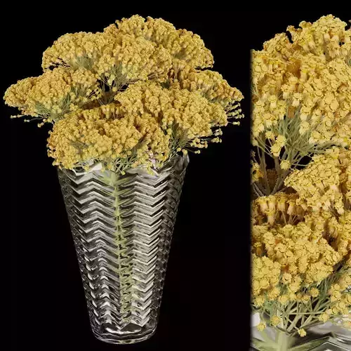 Collection plant vol 160 3D model