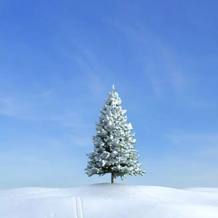 Fir Tree With Snow 3D model_0