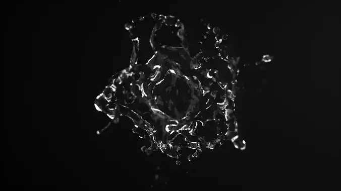 Water Splash Animated 3D model