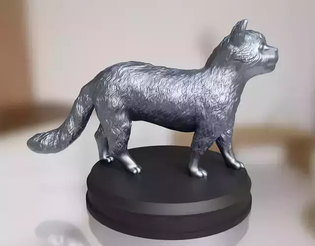 Silver Fluffy Cat