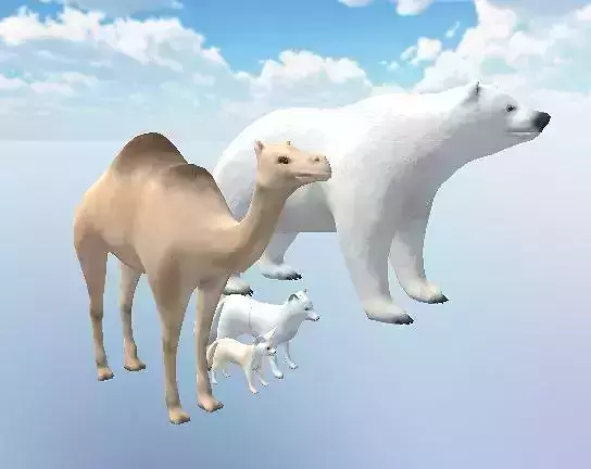 Animal package 3D model