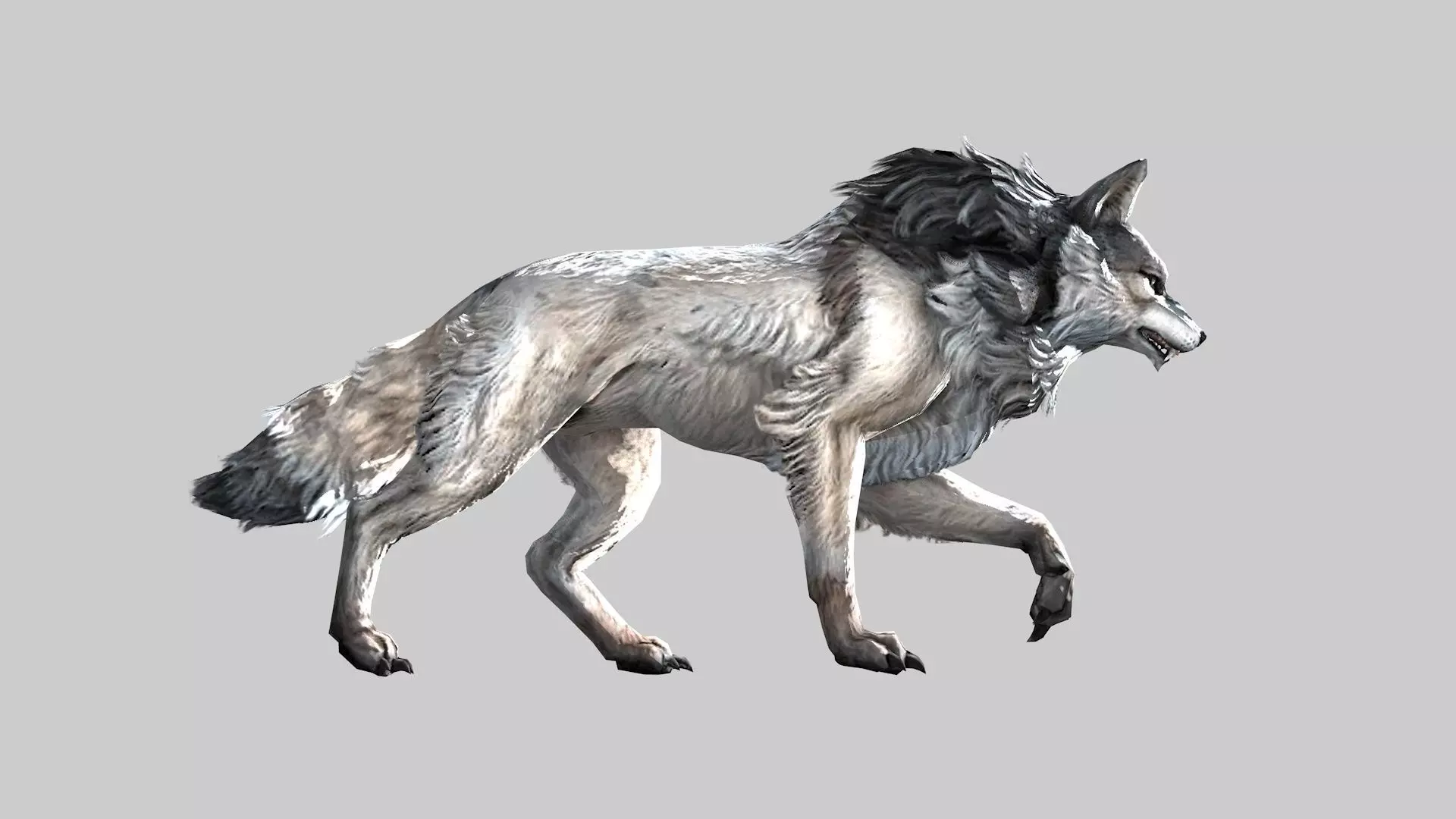 Wolf rigged and animated Low-poly 3D model_0