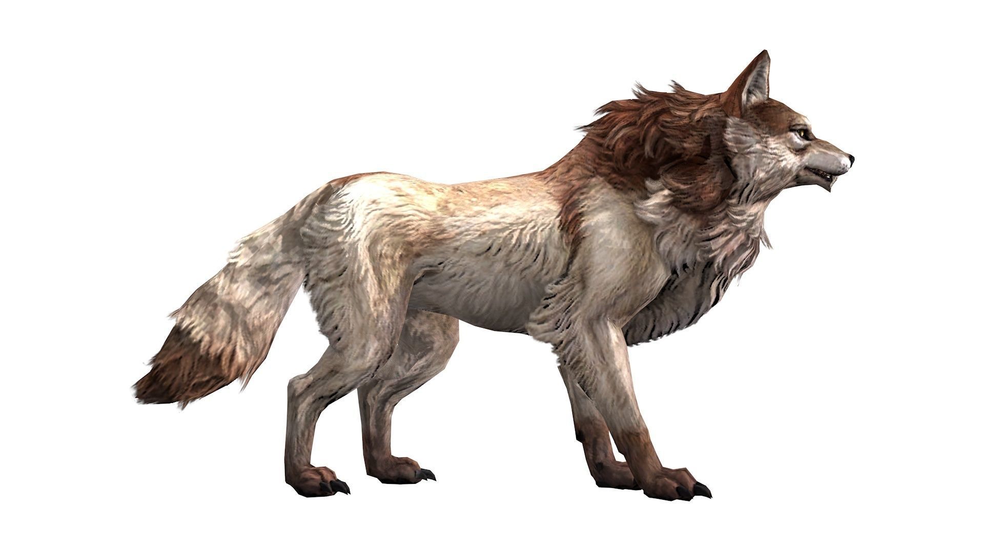 Wolf rigged and animated Low-poly 3D model_2