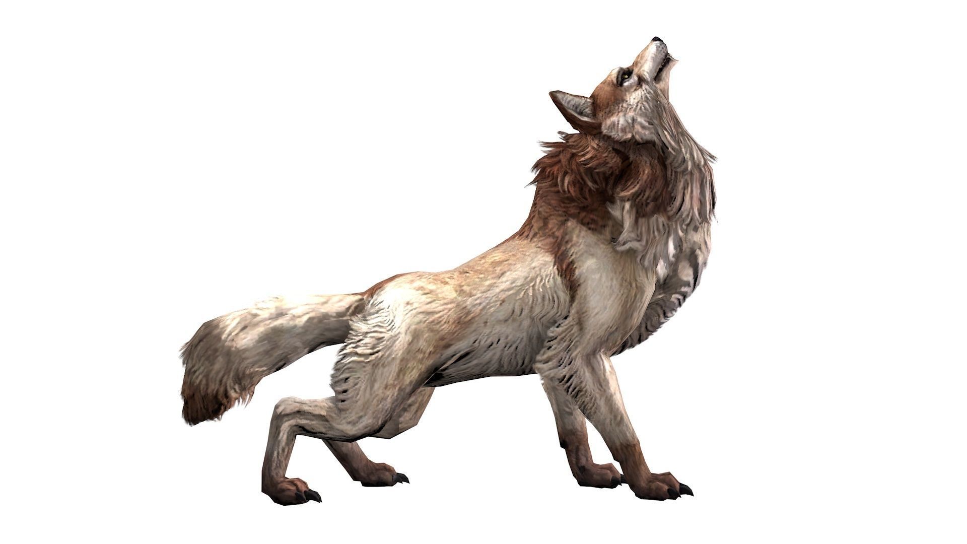 Wolf rigged and animated Low-poly 3D model_1