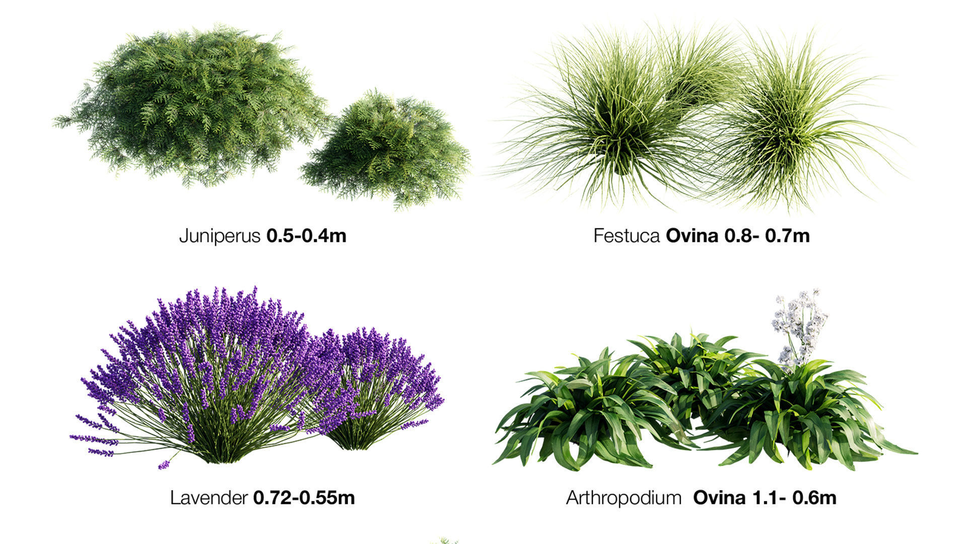 Trees And Bushes Collection 3D model_7