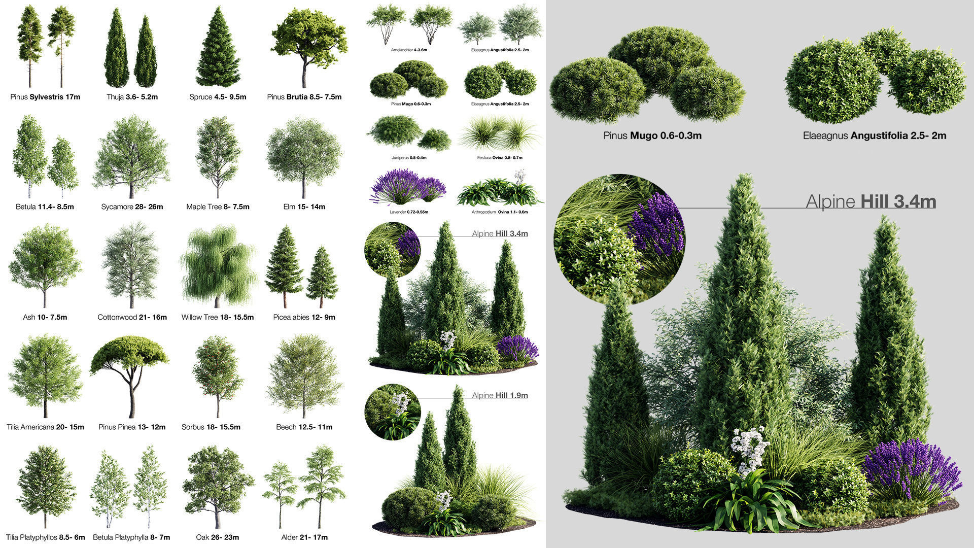Trees And Bushes Collection 3D model_1