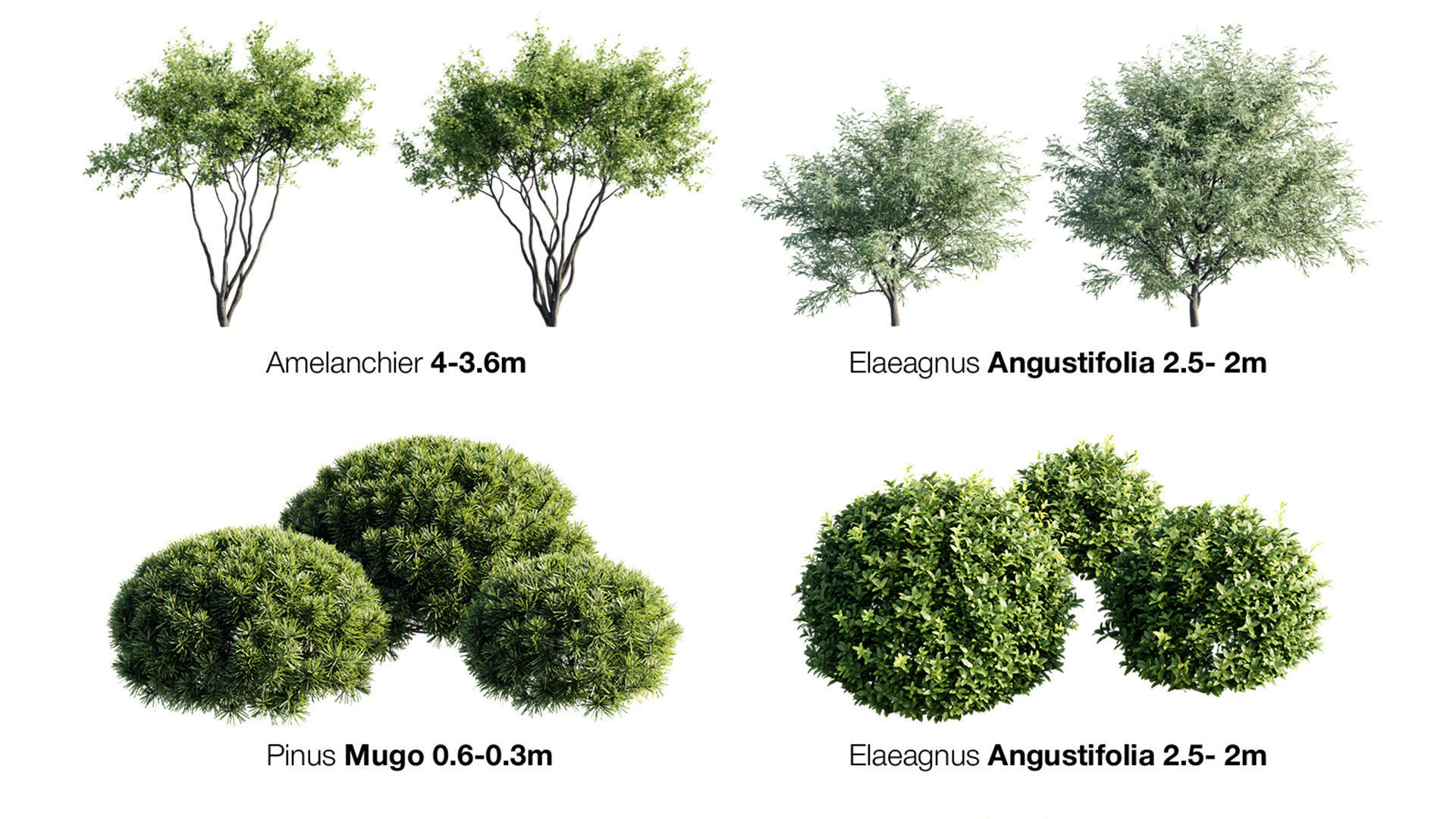 Trees And Bushes Collection 3D model_6