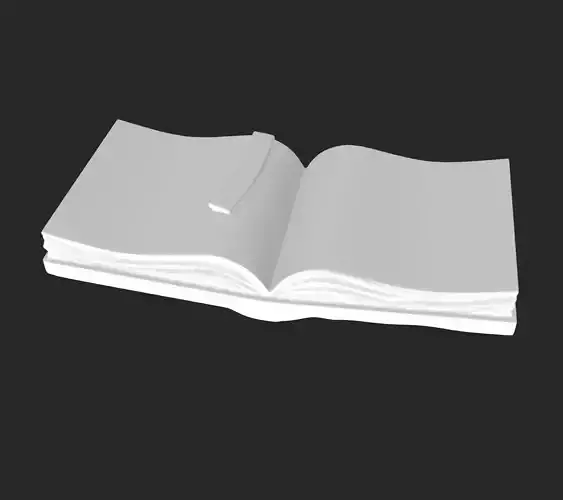 OPEN BOOK 3D model
