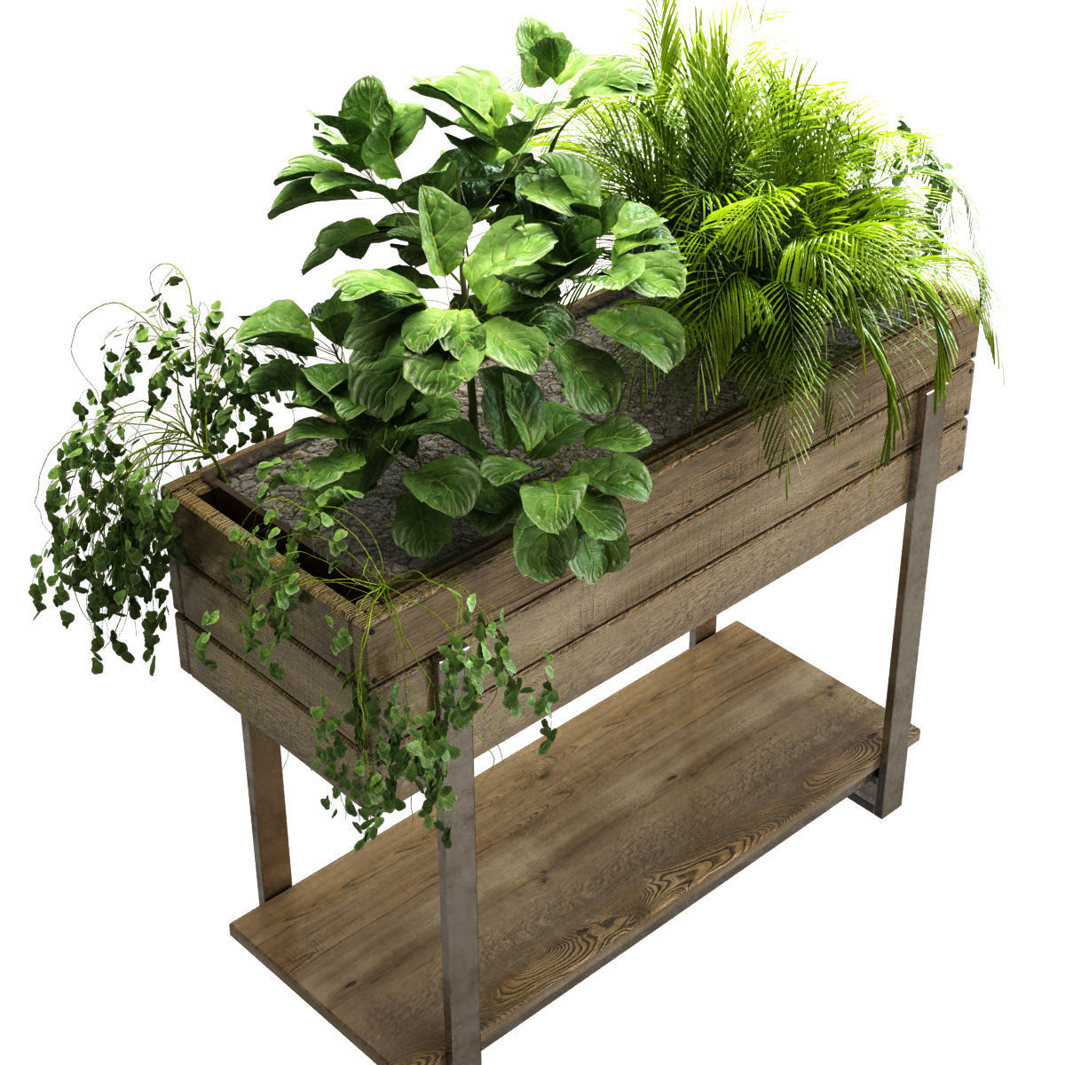 plant set 047 Low-poly 3D model_4