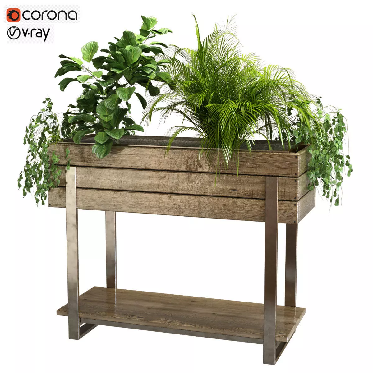 plant set 047 Low-poly 3D model_0