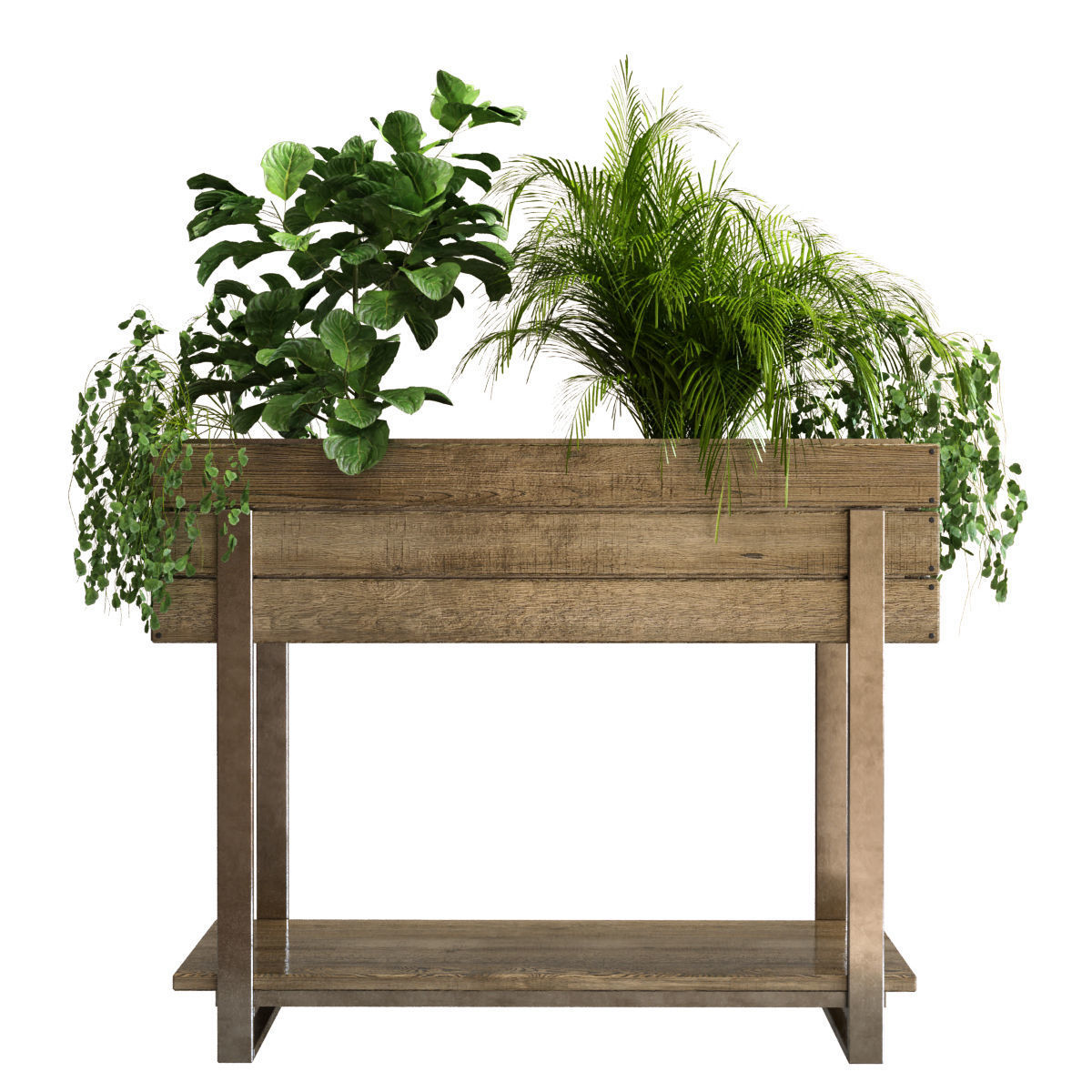 plant set 047 Low-poly 3D model_5