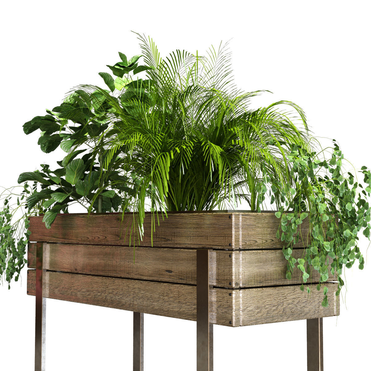 plant set 047 Low-poly 3D model_3