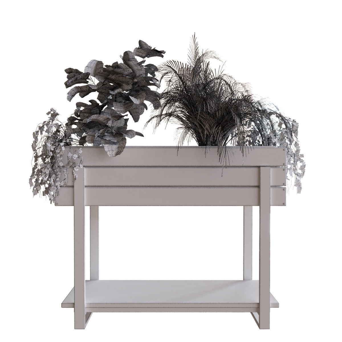 plant set 047 Low-poly 3D model_6