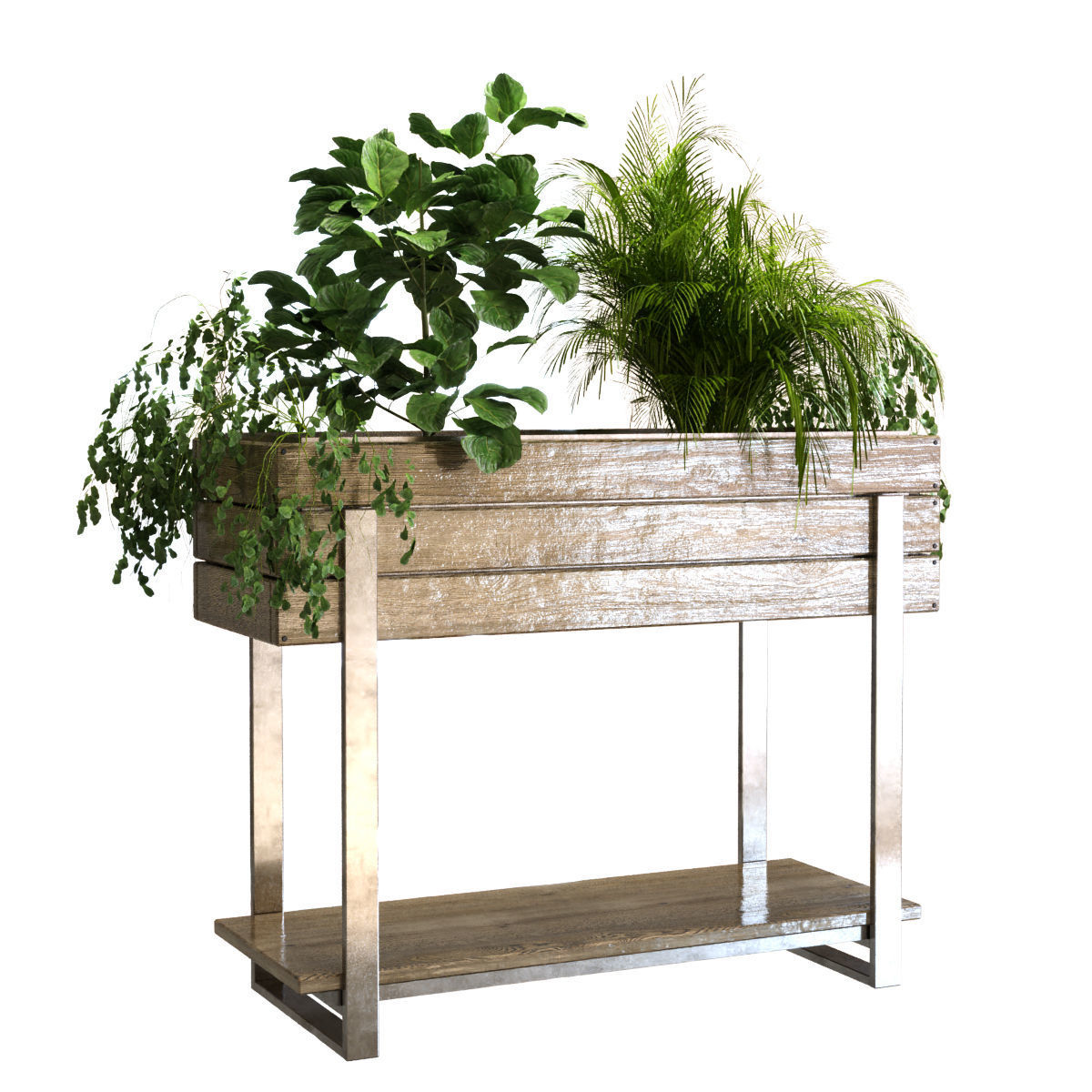 plant set 047 Low-poly 3D model_1