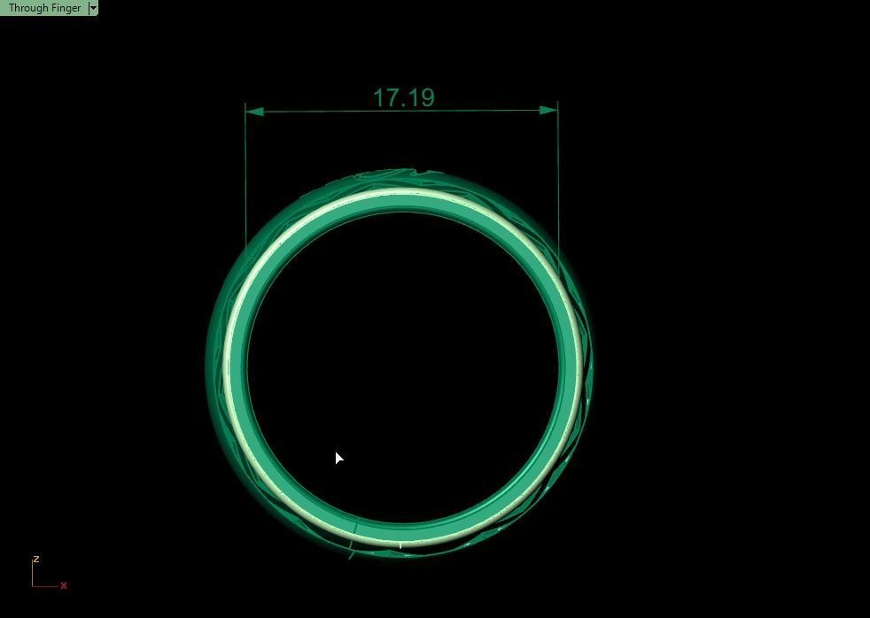 ring set 06 collection1 3D print model_33