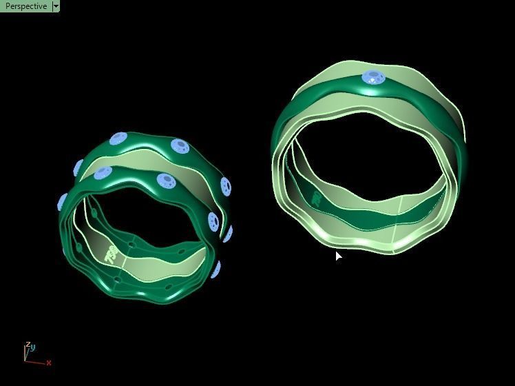 ring set 10 collection1 3D print model_19