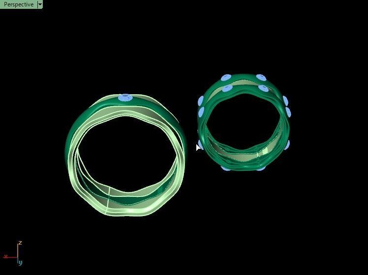 ring set 10 collection1 3D print model_18