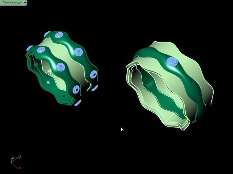 ring set 10 collection1 3D print model_11