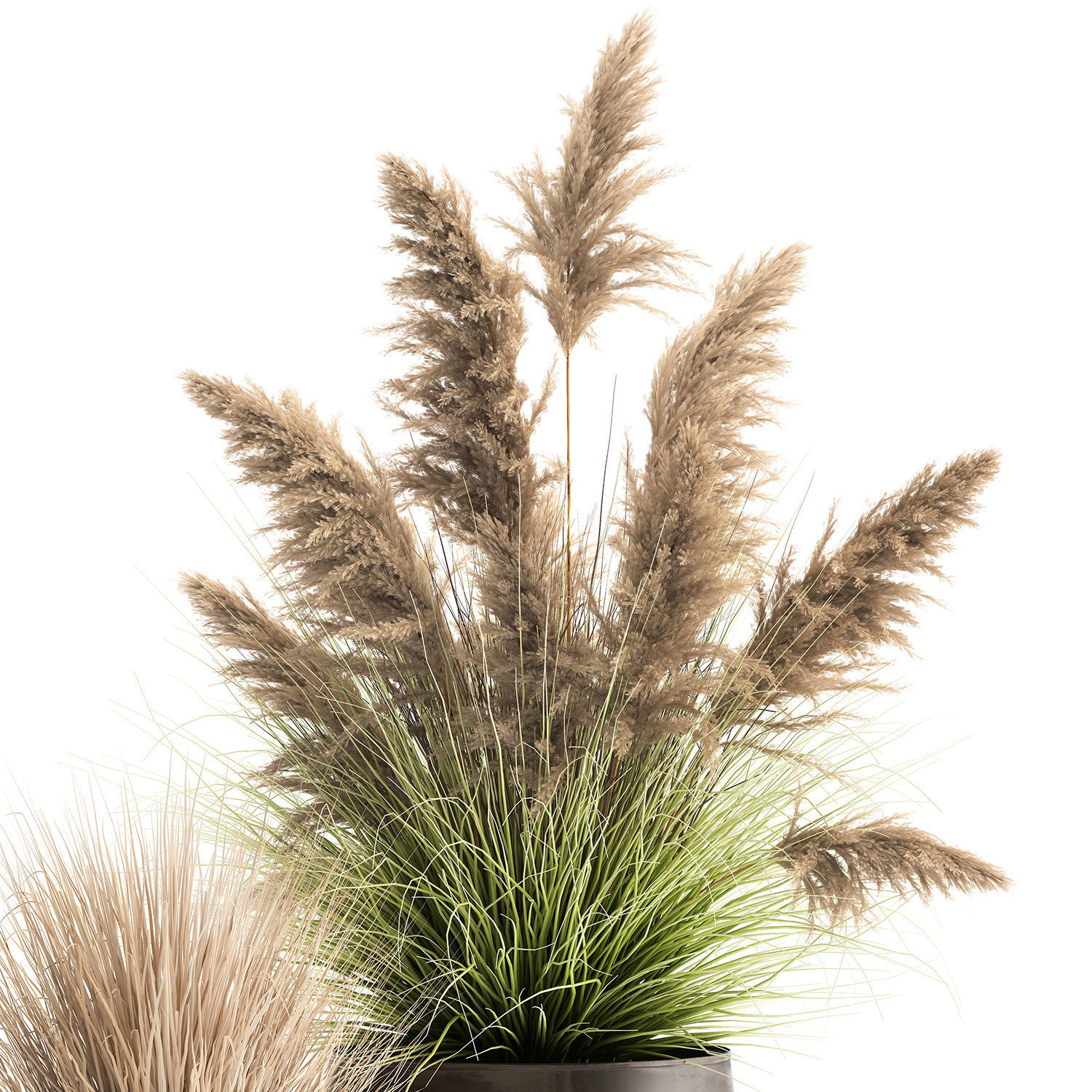 Reeds in a rusty flower pot for the interior 948 3D model_3
