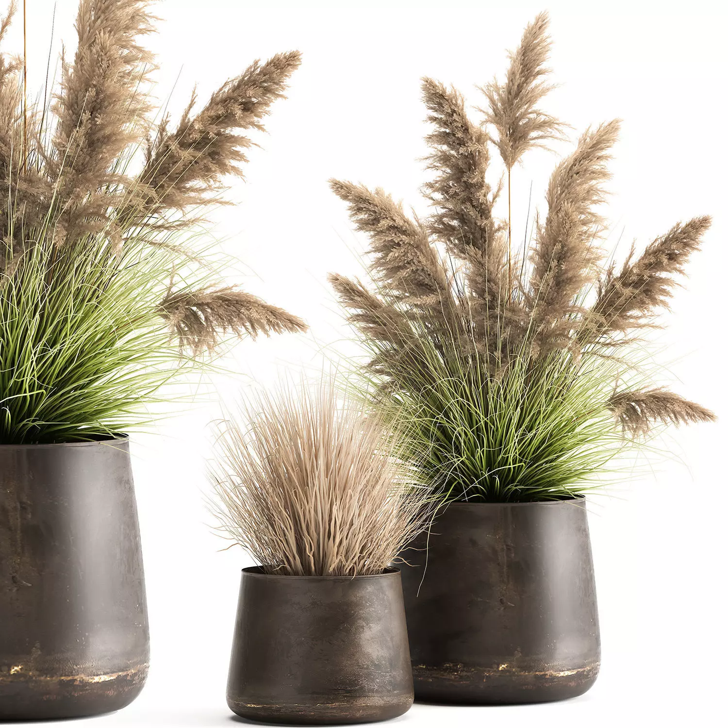 Reeds in a rusty flower pot for the interior 948 3D model_0