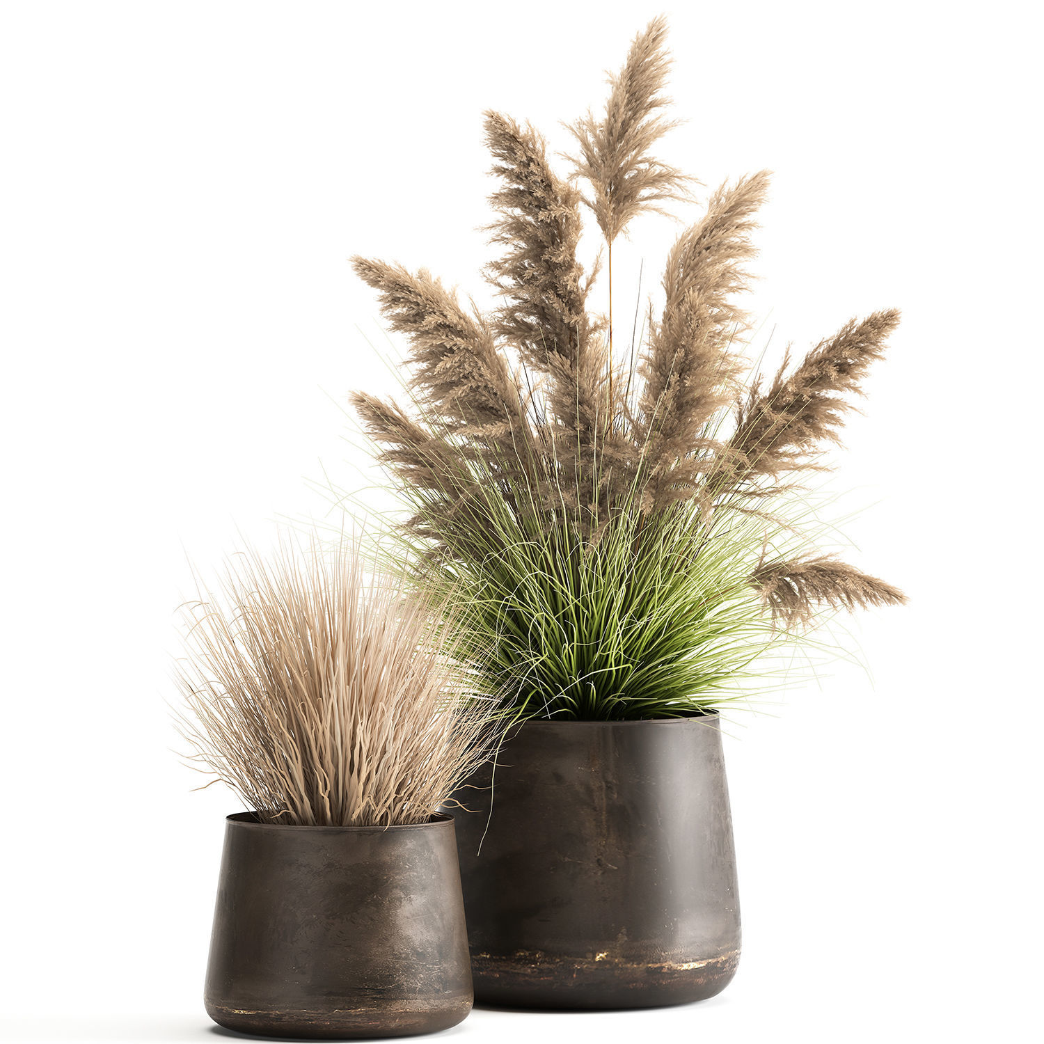 Reeds in a rusty flower pot for the interior 948 3D model_1