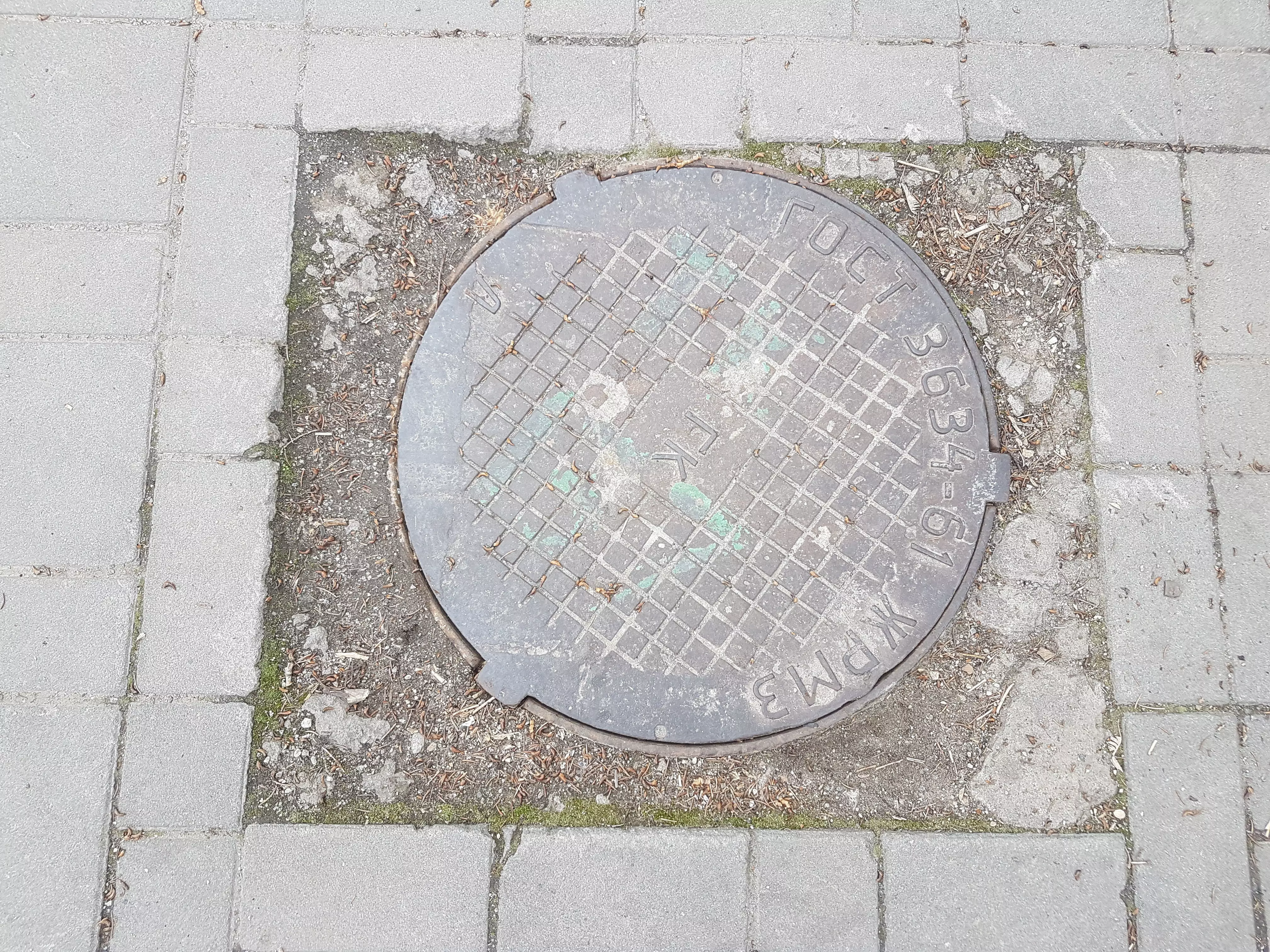 3DF Zephyr - Double Sewer Hatch 2 Low-poly 3D model_0