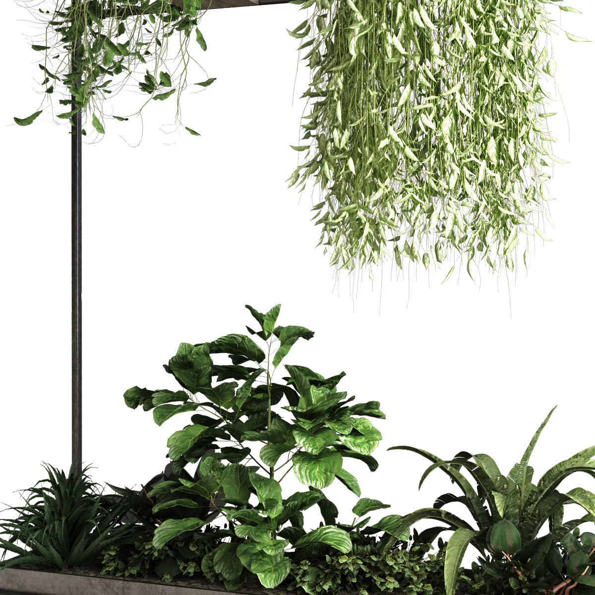 plant set 050 3D model_3