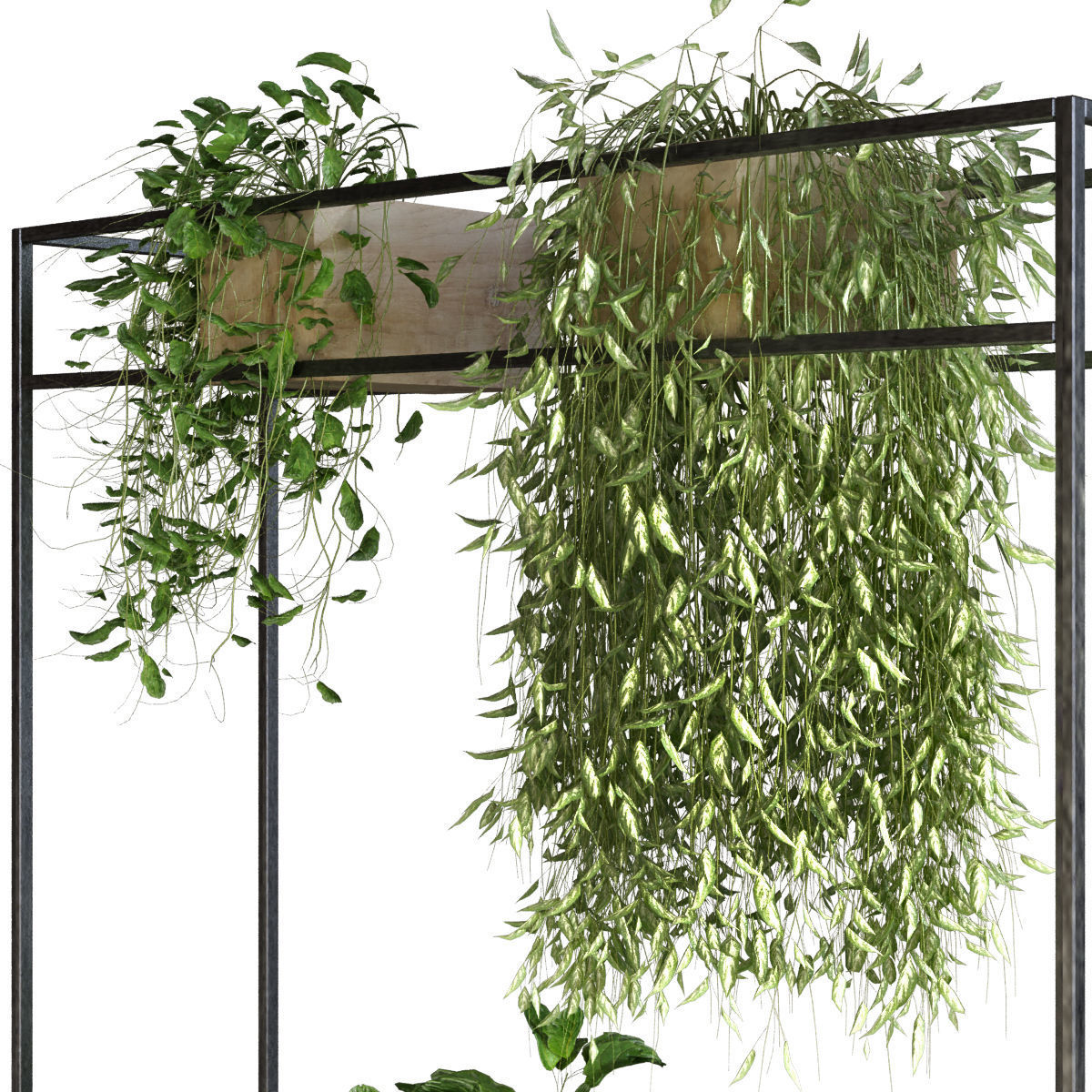 plant set 050 3D model_1