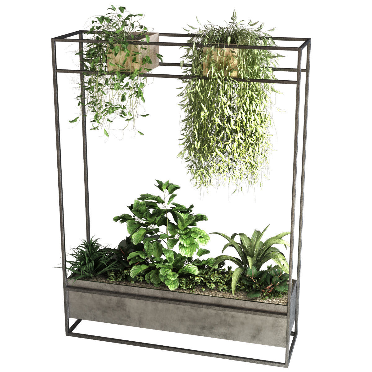 plant set 050 3D model_5