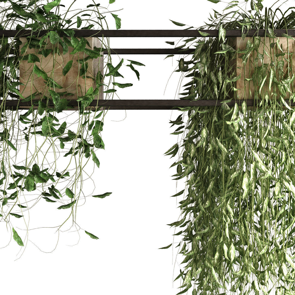 plant set 050 3D model_2