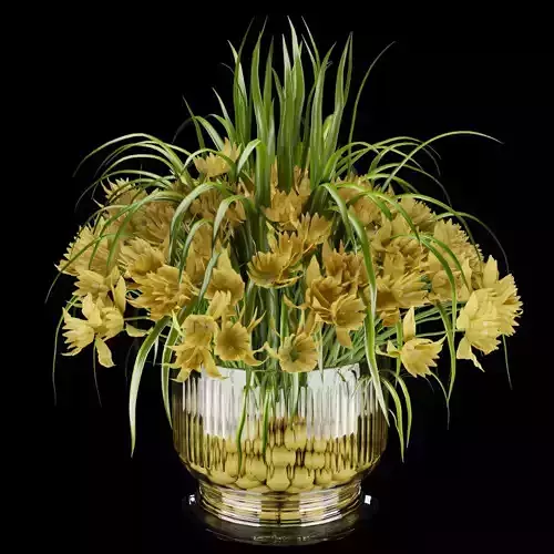 Collection plant vol 161