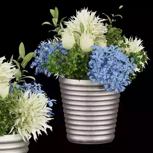 Collection plant vol 162