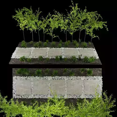 Collection plant vol 163