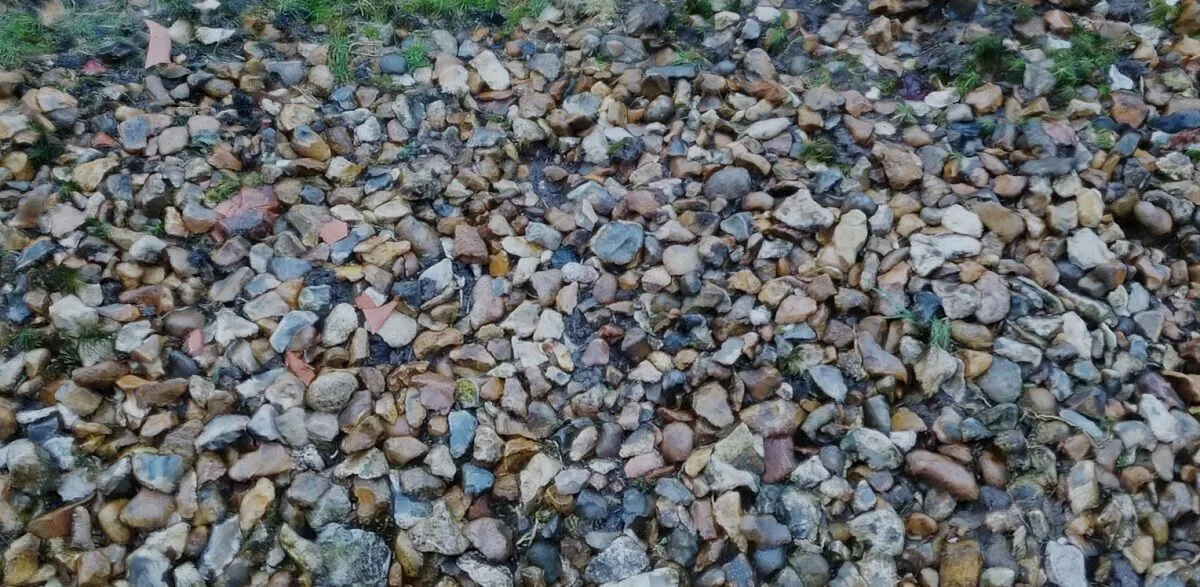Pebbled Path 3D Model Low-poly 3D model