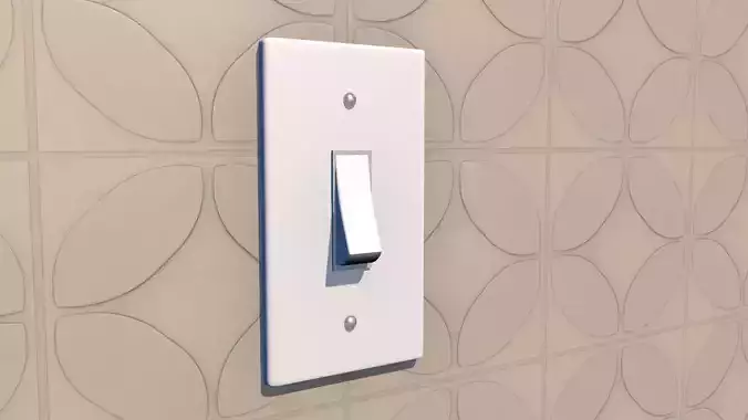 light switch