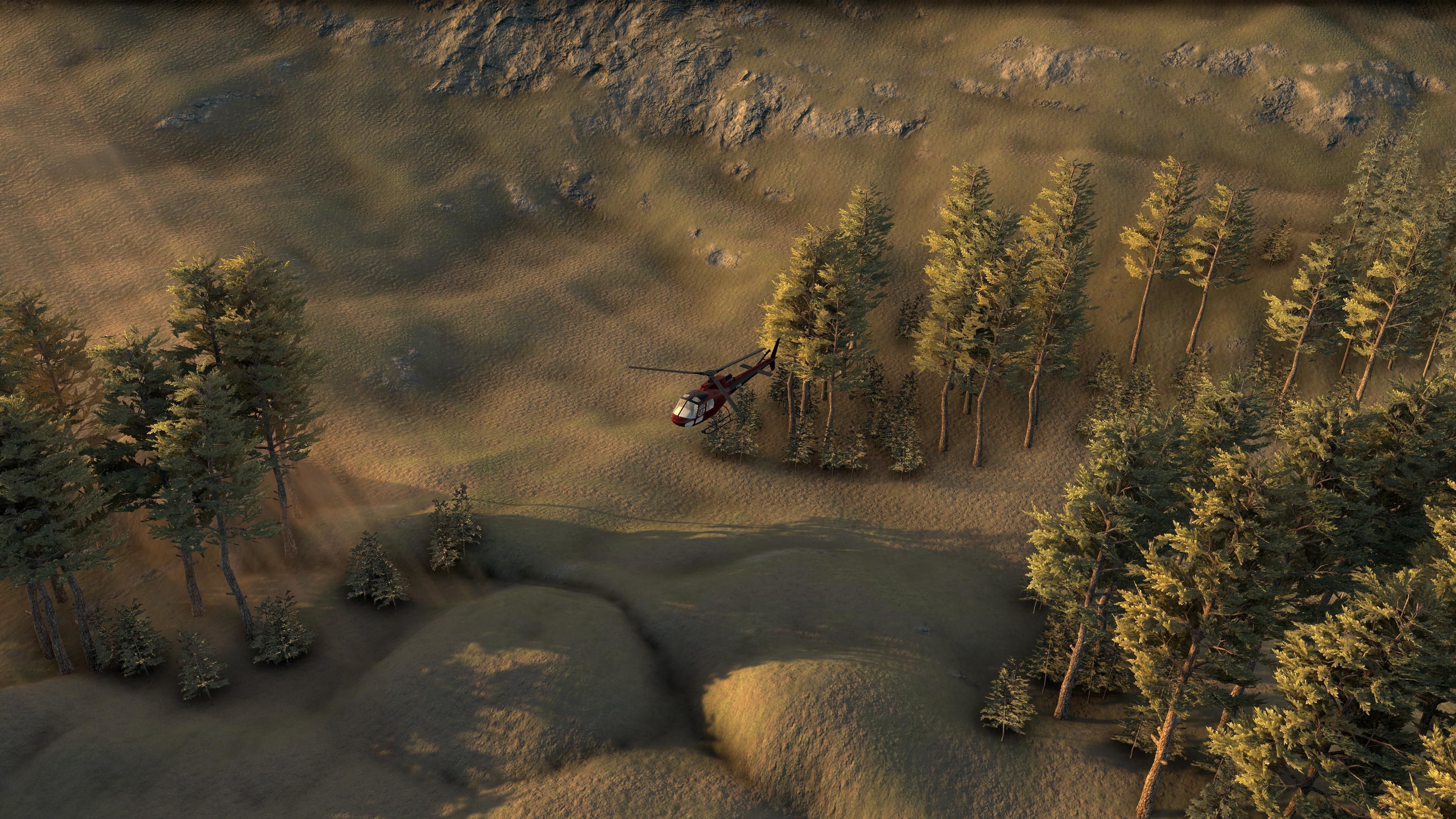 forest unity 3D model_3